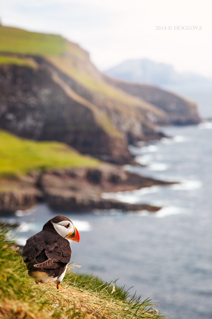 Faroe Islands
